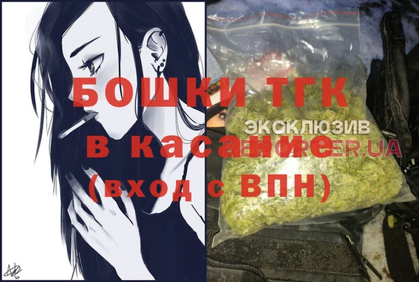 ешки Алзамай