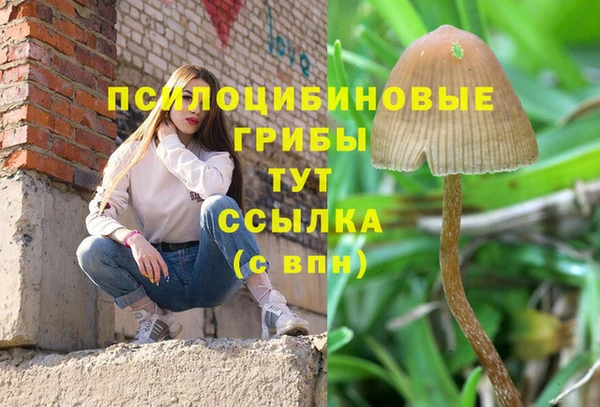амфетамин Алексин