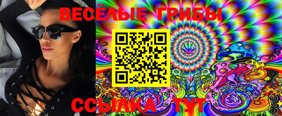 Тайшет  что такое   Вход с VPN  Псилоцибиновые грибы Psilocybine cubensis 