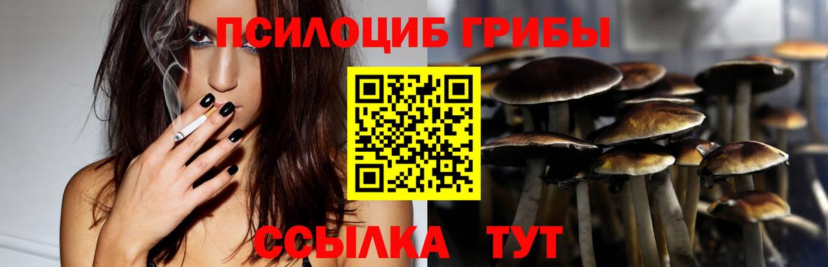 Галлюциногенные грибы Magic Shrooms Тайшет