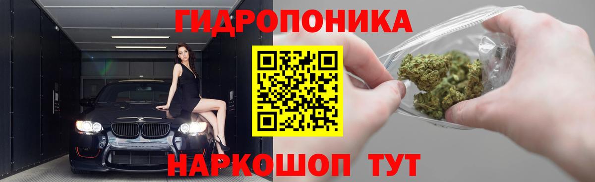 Бошки Шишки планчик  Вход с VPN  Тайшет  Бошки Шишки конопля 